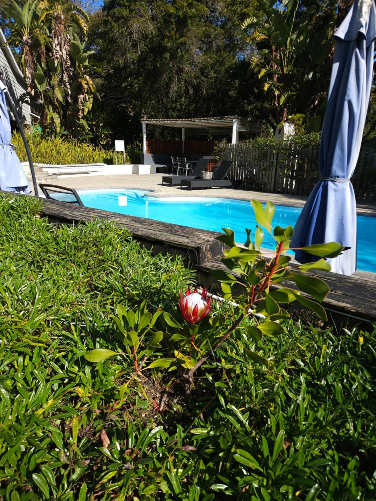 Stannards Guest Lodge 4 Star B&B, Knysna Exterior photo